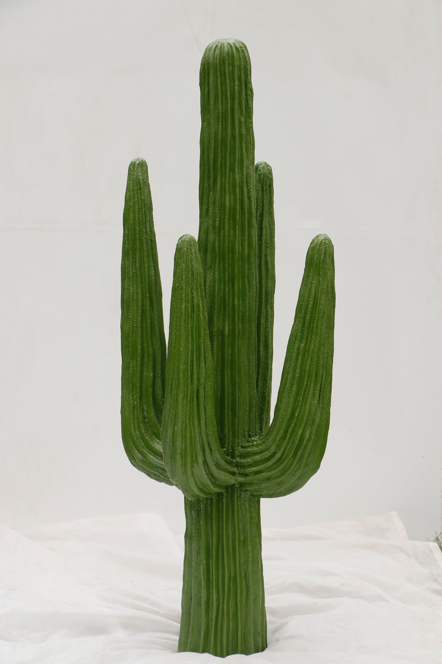 Organ pipe cactus