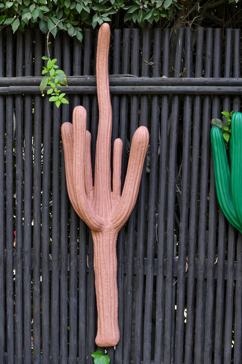 Wall Hanging Cactuses