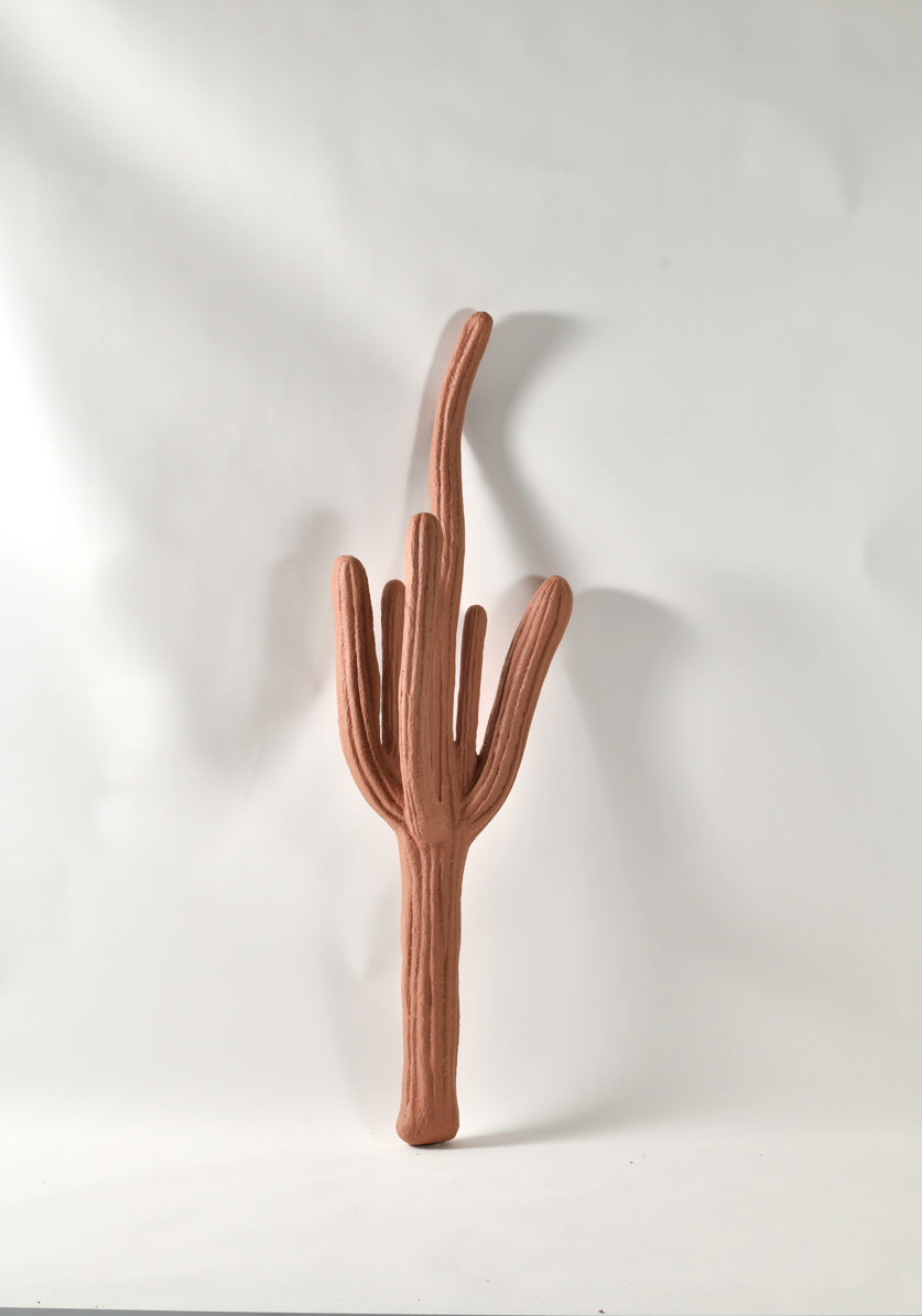 Wall Hanging Cactuses