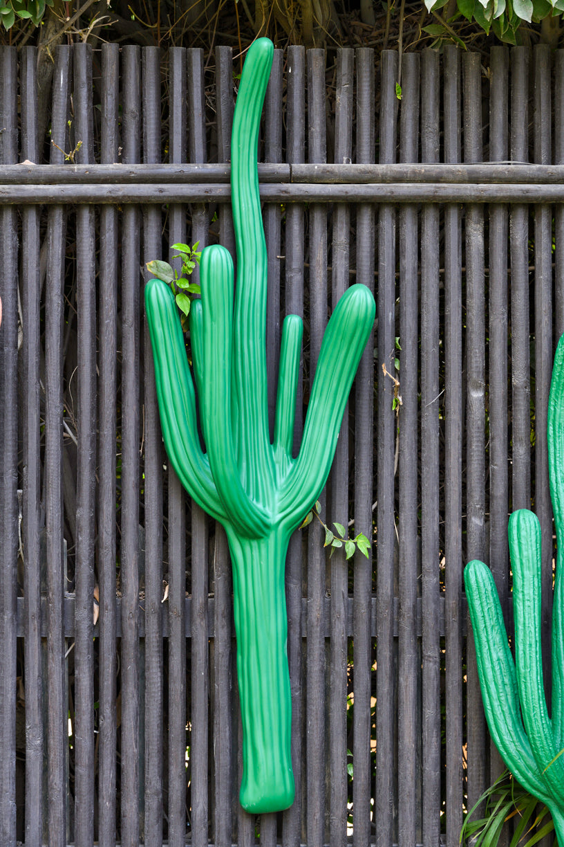Wall Hanging Cactuses