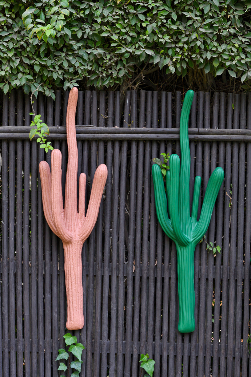 Wall Hanging Cactuses